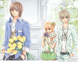 深入了解 芒果视频污污版
